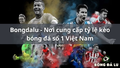 Bong da lu - Khám phá thế giới bóng đá tại bongdalu-vip.net